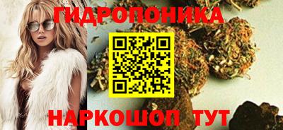 дмт Волжск
